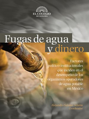 cover image of Fugas de agua y dinero